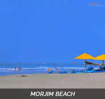 Morjim Beach