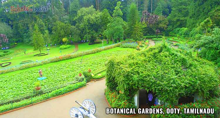 OOTY BOTANICAL GARDEN