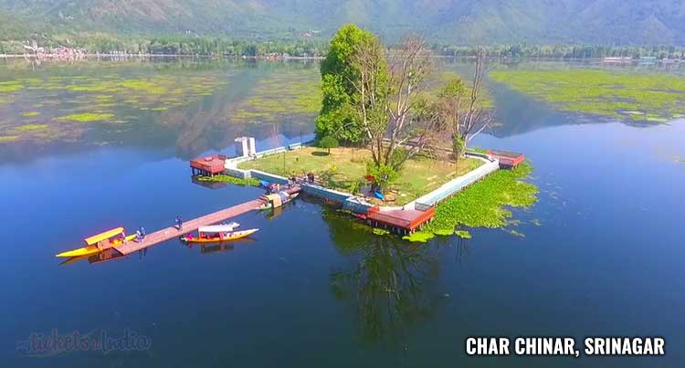 Char Chinar