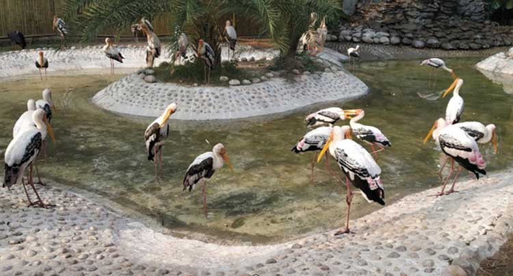 Chattbir Zoo