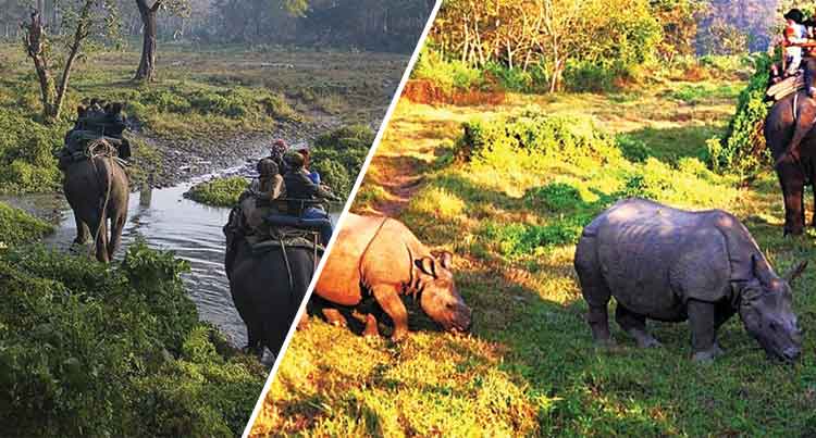 Cotigao Wildlife Sanctuary