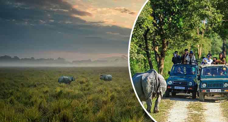 Kaziranga National Park