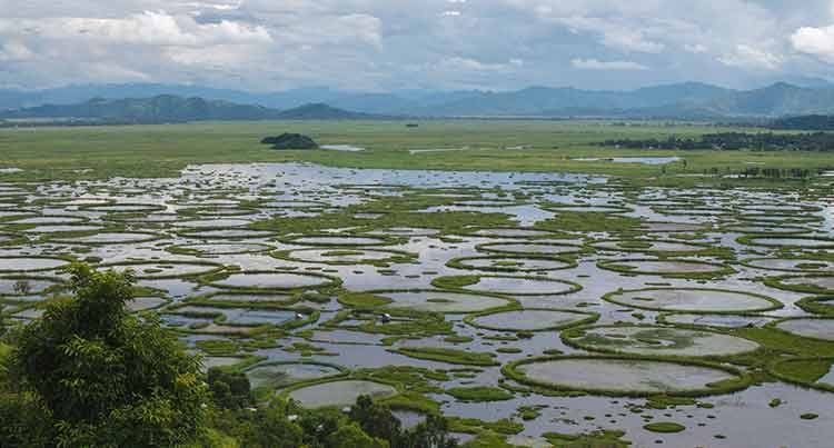 Keibul Lamjao National Park