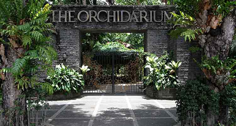 Khonghampat Orchidarium