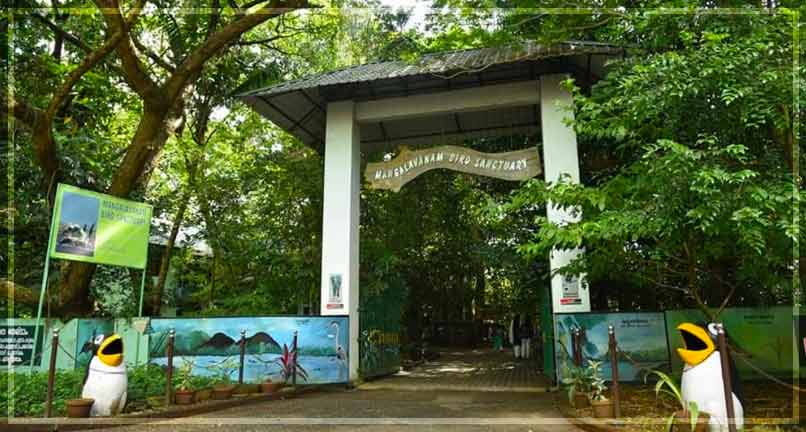 Mangalavanam Bird Sanctuary