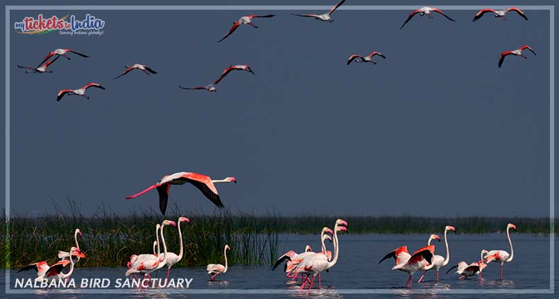 Nalbana Bird Sanctuary