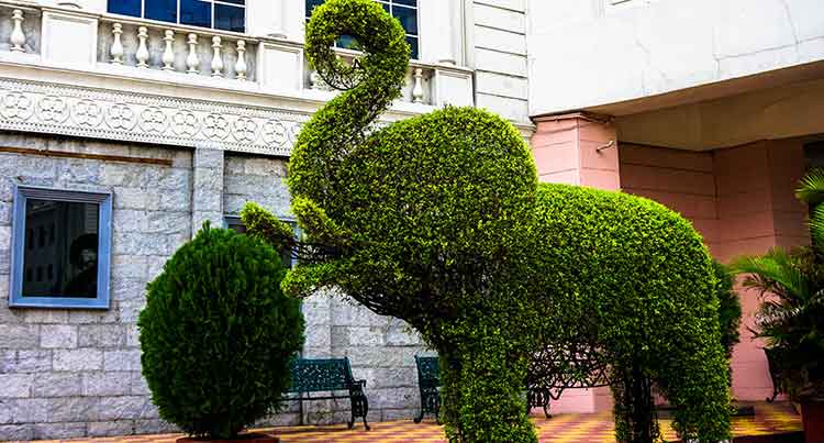 Salar Jung Museum