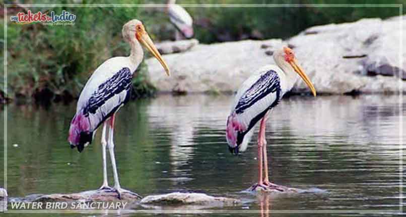 Water Bird Sanctuary
