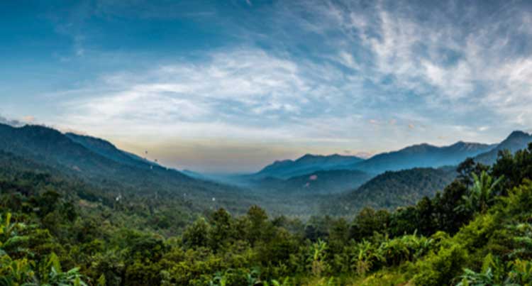 Wayanad 