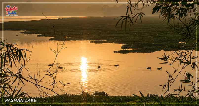 Pashan Lake