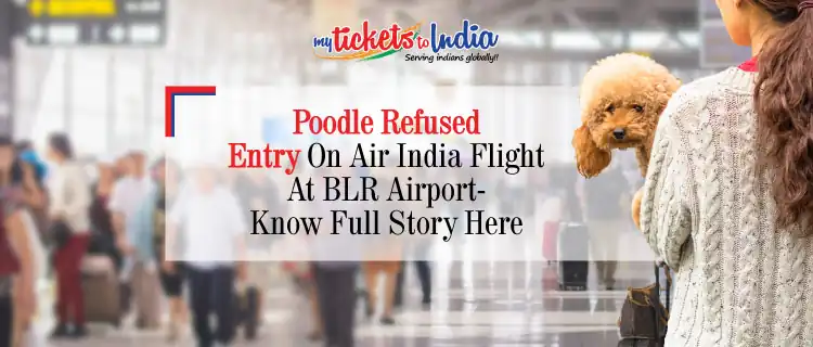 Flyer’s Pet Dog Denied Entry On Air India Flight In Bengaluru