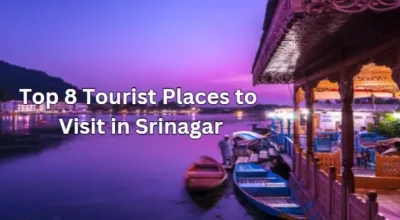 Top 8 Tourist Places to Visit in Srinagar
