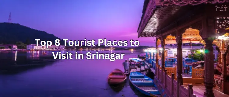 Top 8 Tourist Places to Visit in Srinagar