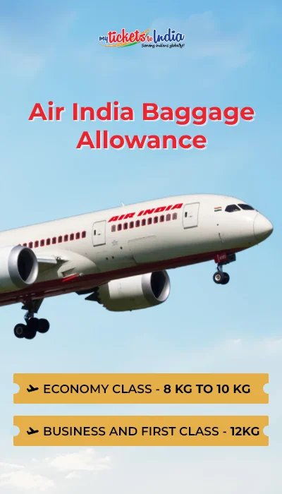air-india-baggage-policy